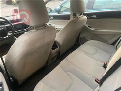 شيري أريزو 5